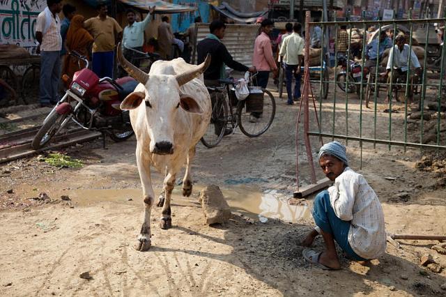 068 Varanasi, Markt.jpg